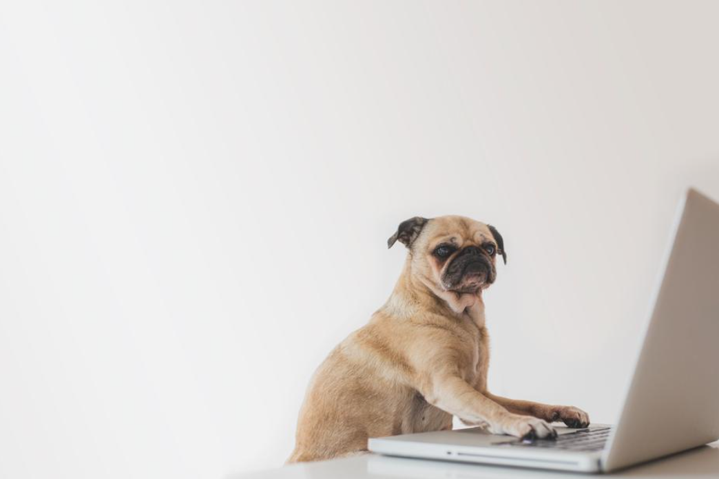 Postman Test Product